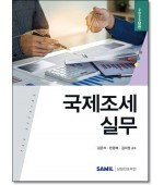 국제조세실무 [2025]