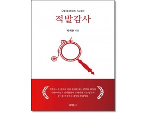 적발감사