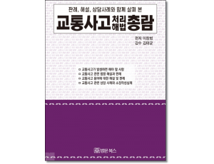 교통사고 처리 해법 총람