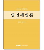법인세법론  (2025)