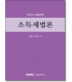 소득세법론 (2025)